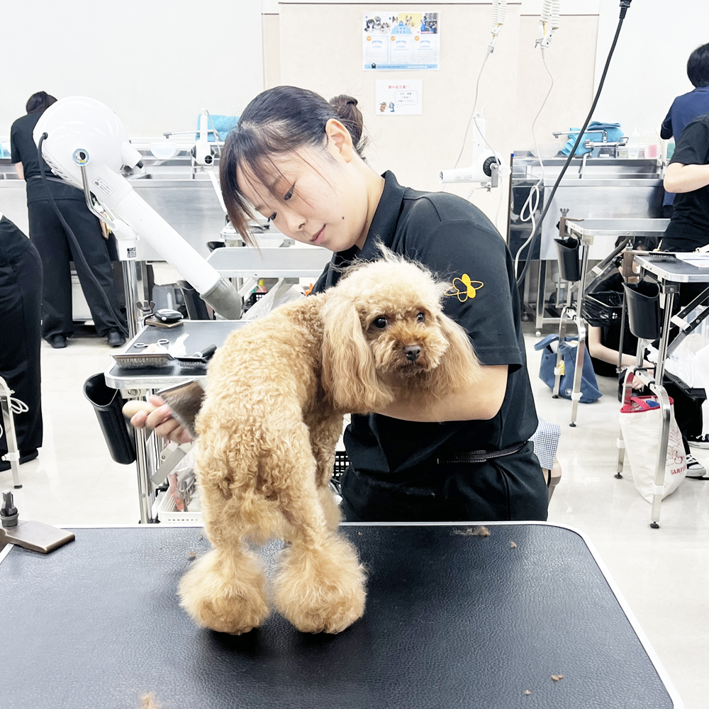 今日もたくさんのお客様！